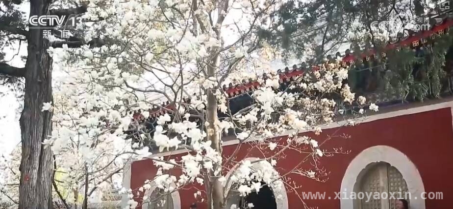 解锁春日宝藏：各地文创掀起热潮