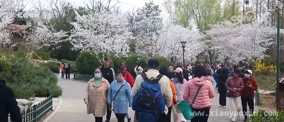 解锁春日宝藏：各地文创掀起热潮