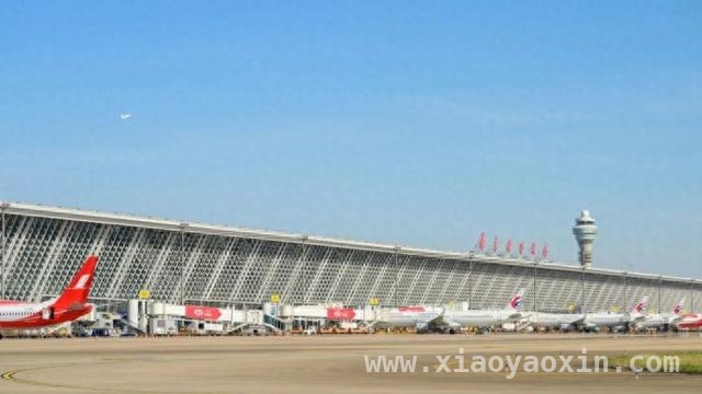 上海机场夏秋航季来袭，新增国际航线等你来！