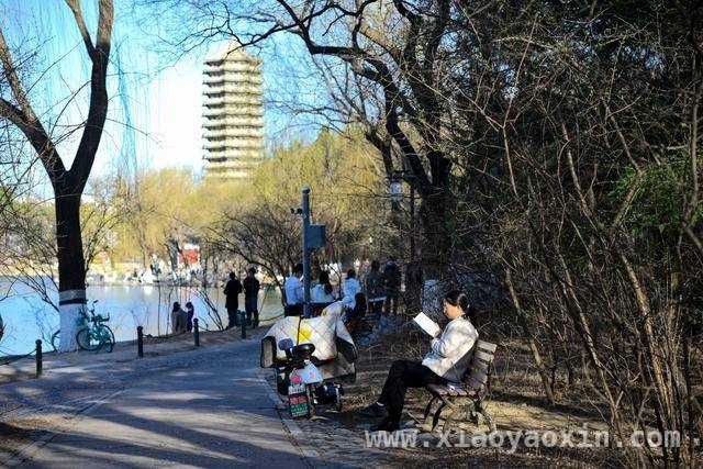 春时读韵，北京书海觅芬芳
