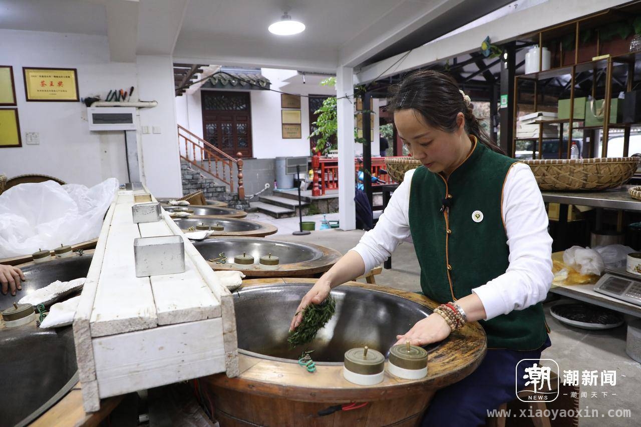 中茶博志愿者：跨越地域，守护西湖茶香，跨城志愿，让中国茶文化在中茶博绽放光芒