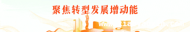 探秘2025金山番茄节，解锁番茄产业发展密码，2025金山番茄节：从田间到餐桌的农业盛宴