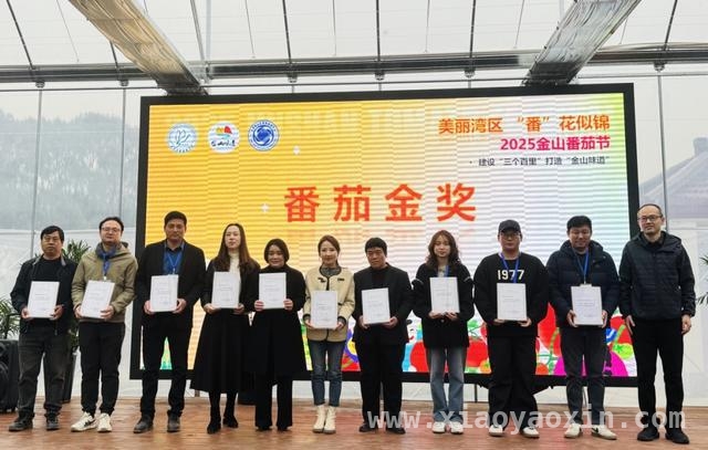 探秘2025金山番茄节，解锁番茄产业发展密码，2025金山番茄节：从田间到餐桌的农业盛宴