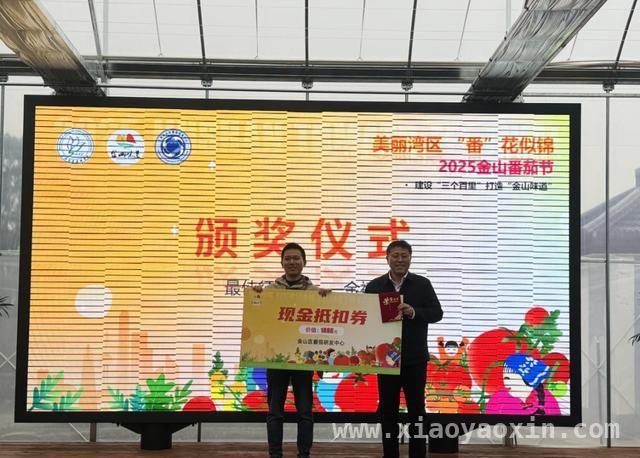 探秘2025金山番茄节，解锁番茄产业发展密码，2025金山番茄节：从田间到餐桌的农业盛宴