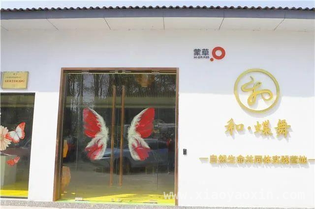 探秘张堰镇百家村！邂逅蝴蝶生命的奇妙旅程，金山区和·蝶舞科普馆：开启蝴蝶世界的梦幻之门