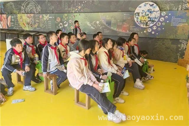 探秘张堰镇百家村！邂逅蝴蝶生命的奇妙旅程，金山区和·蝶舞科普馆：开启蝴蝶世界的梦幻之门