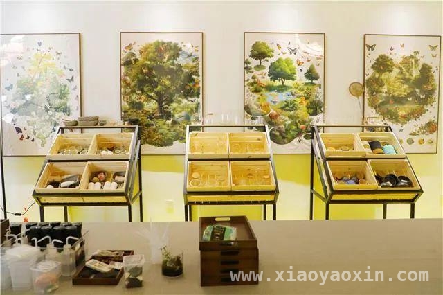 探秘张堰镇百家村！邂逅蝴蝶生命的奇妙旅程，金山区和·蝶舞科普馆：开启蝴蝶世界的梦幻之门