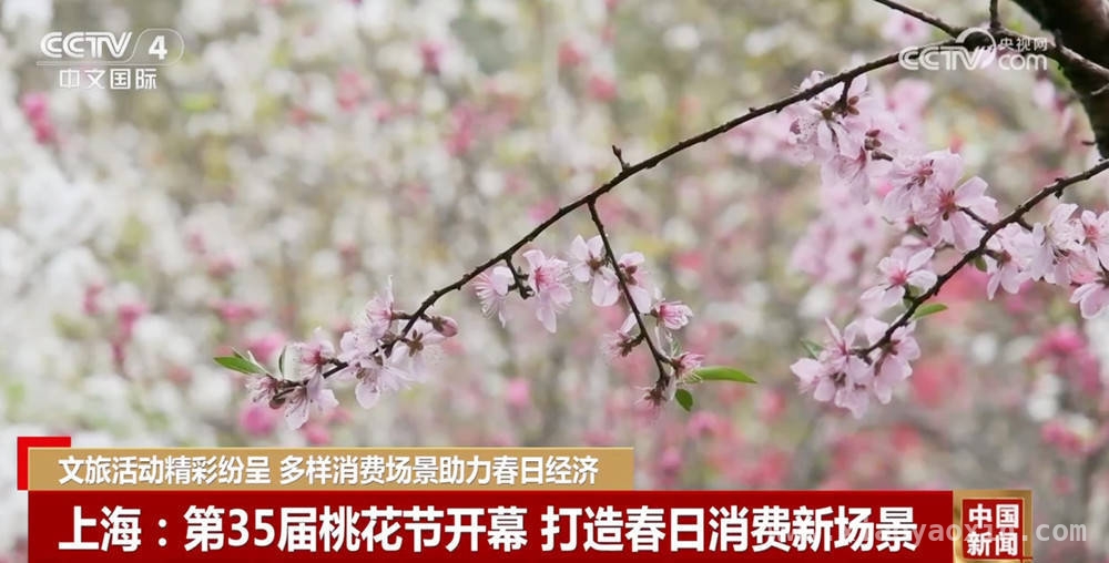 杭州东站行李递送服务，“潮玩卡”助力文旅消费