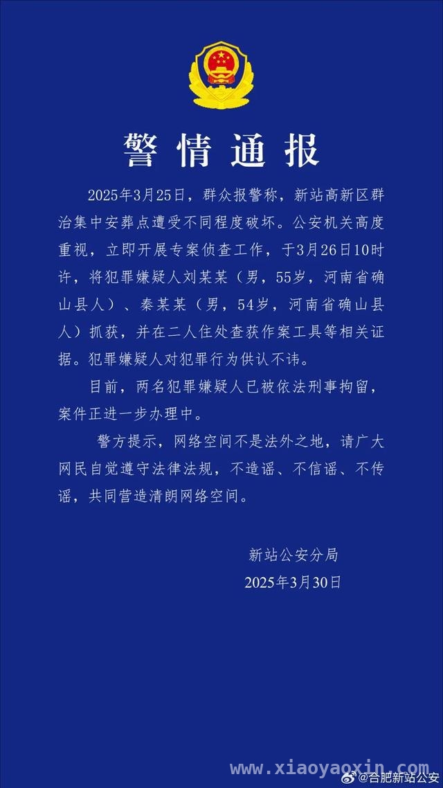 合肥新站公墓惨案：两嫌犯恶意破坏终被抓，合肥新站公墓被恶意破坏，两名嫌犯落网！