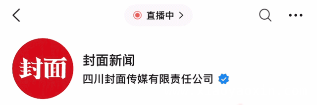 合肥新站公墓惨案：两嫌犯恶意破坏终被抓，合肥新站公墓被恶意破坏，两名嫌犯落网！