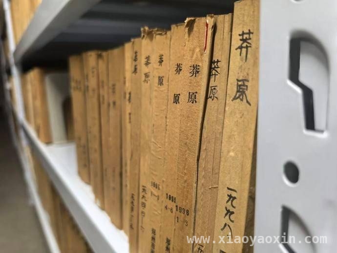 2025 世界读书日，郑州图书馆邀您共赏黄河文化盛宴