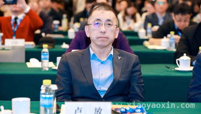 卢放谈岚图：技术创新与用户反馈共铸辉煌 岚图卢放：以用户为核心，破局新能源竞争