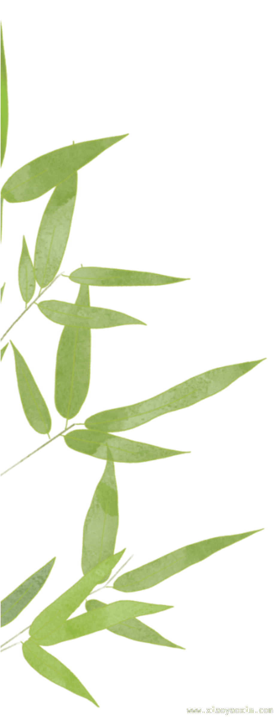 清明祭，以文明之风寄哀思 清明时节，用绿色文明方式缅怀先人