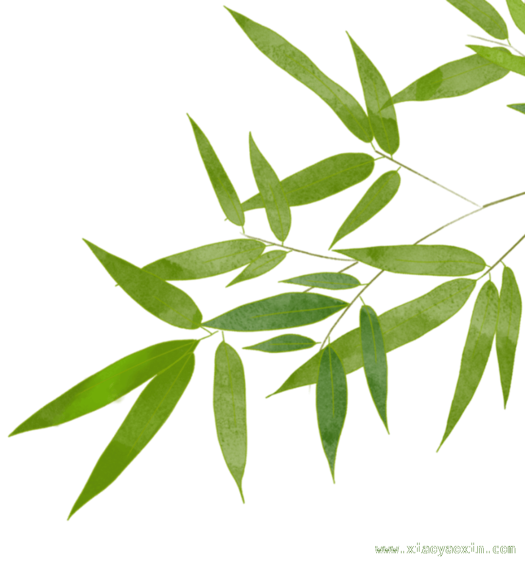 清明祭，以文明之风寄哀思 清明时节，用绿色文明方式缅怀先人
