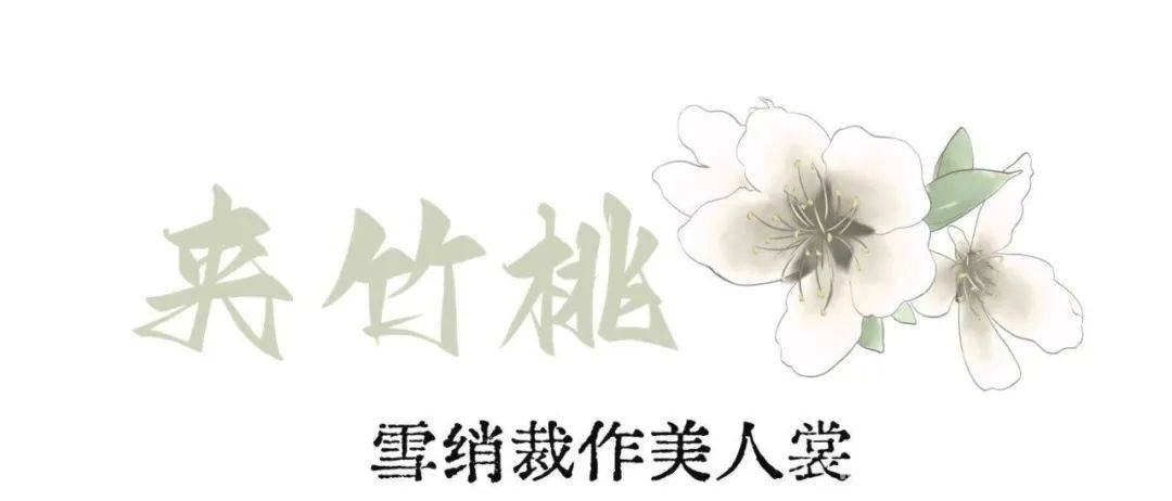漫步河海，用镜头定格春日浪漫