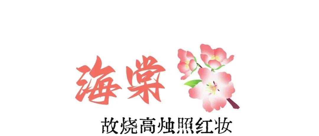 漫步河海，用镜头定格春日浪漫