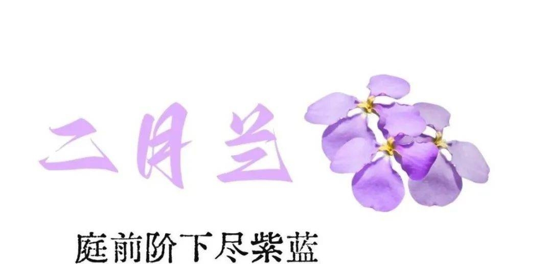 漫步河海，用镜头定格春日浪漫