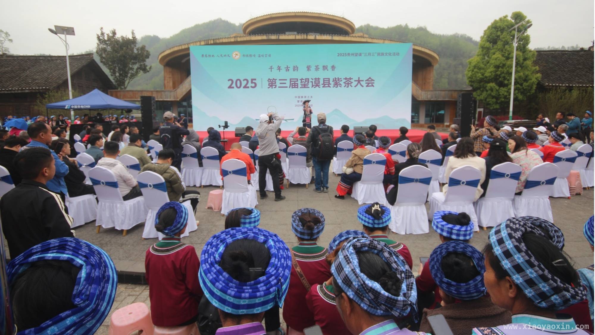 贵州望谟“三月三”紫茶大会启幕，茶旅融合新征程开启