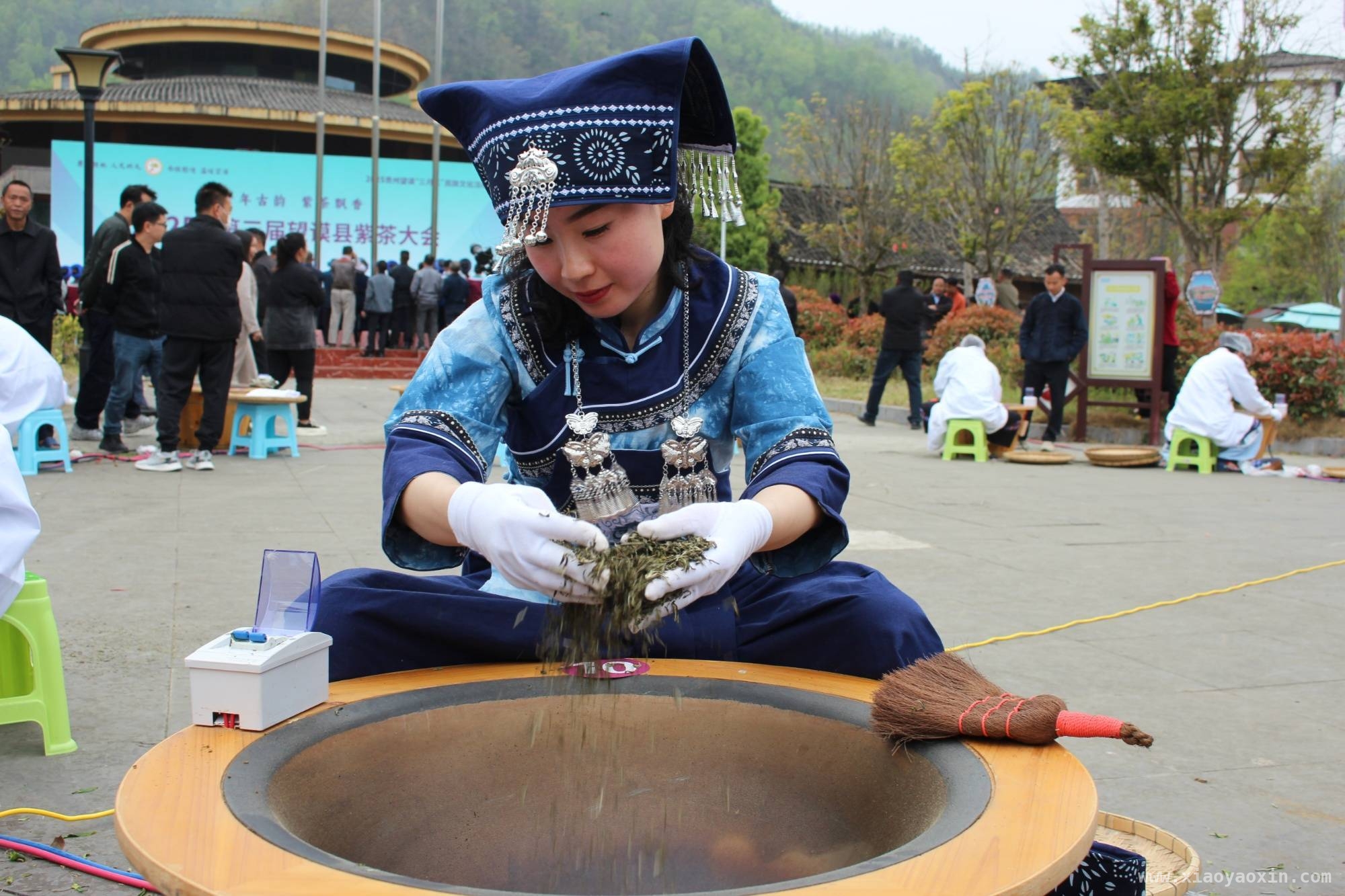 贵州望谟“三月三”紫茶大会启幕，茶旅融合新征程开启