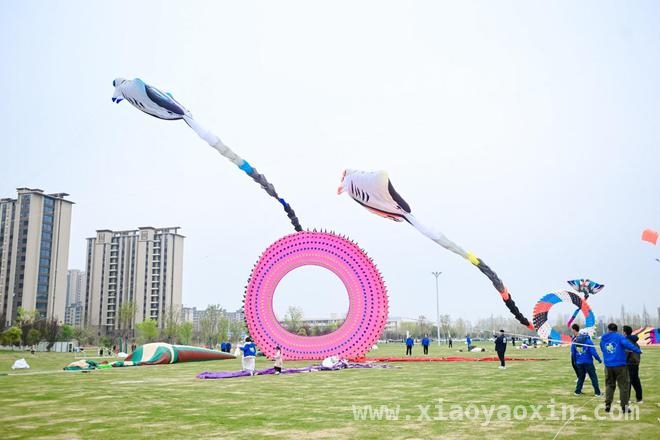 泰兴风筝交流赛：体育文化旅游融合的魅力之约，“筝”奇盛宴，泰兴绽放别样精彩