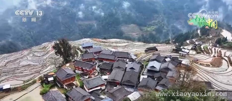 春耕正当时，看全国多地农业新进展 全国春耕画卷：从山东小麦到百色芒果的丰收期盼