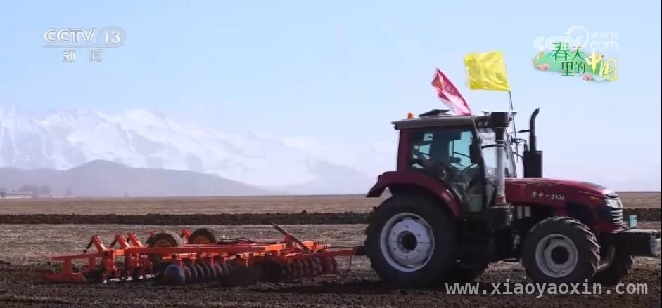 春耕正当时，看全国多地农业新进展 全国春耕画卷：从山东小麦到百色芒果的丰收期盼