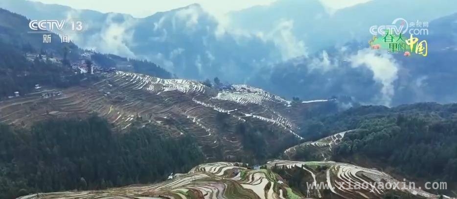 春耕正当时，看全国多地农业新进展 全国春耕画卷：从山东小麦到百色芒果的丰收期盼