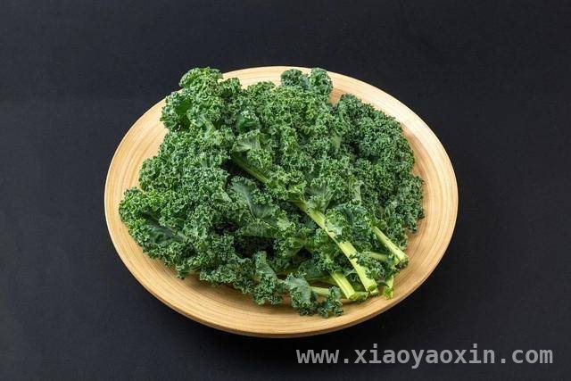 别被羽衣甘蓝饮品骗了，这些真相你要知道