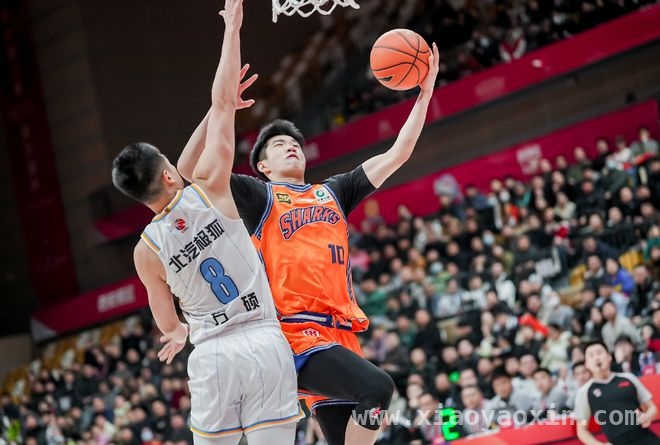 上海男篮惜败，偰李永炜成暗夜之星能否照亮未来？，新疆男篮赢下焦点战，上海小将偰李永炜惊艳全场