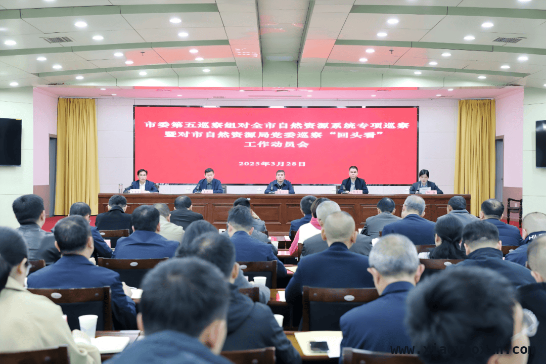 自然资源局迎巡察“回头看”，助力九江现代化建设新篇章，市委第五巡察组开启自然资源系统专项巡察与“回头看”工作