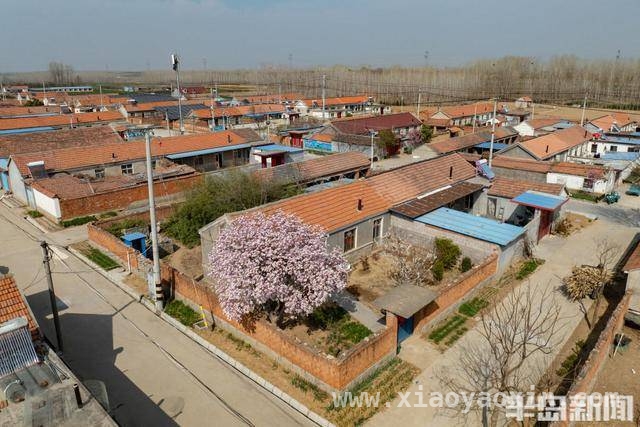 64岁村民刘立忠：用墙绘与爱装点乡村，从困难户到乡村墙绘达人，刘立忠的温暖蜕变