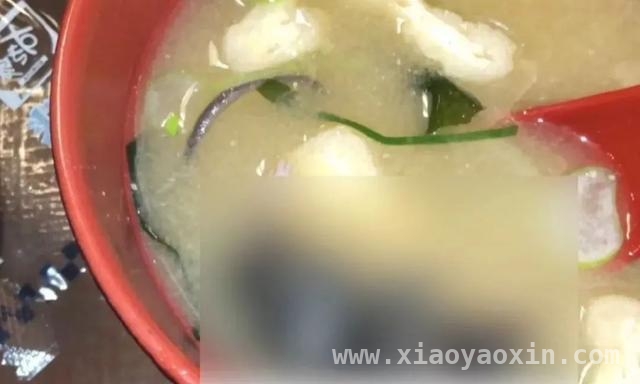日本食其家食品安全丑闻频发，近2000家店紧急关停！ 食其家接连爆食品安全问题，卫生状况引日本网友质疑