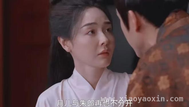 雁回时热度破纪录，庄寒雁连环计拯救姚忘书