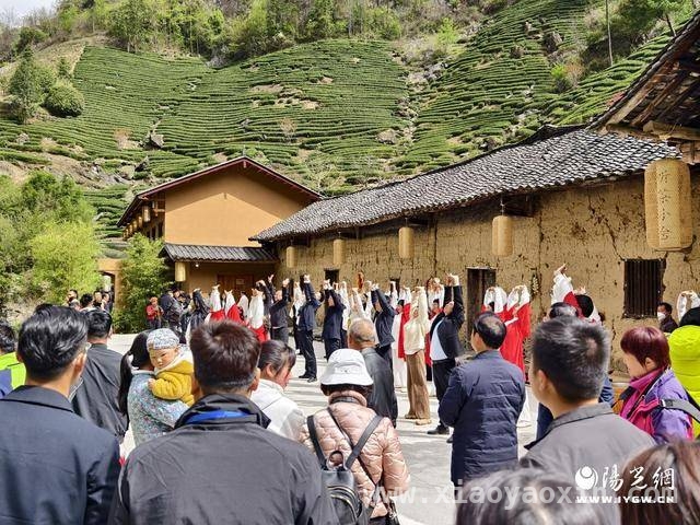 汉滨区双龙镇：以“瑜伽+自然+茶文化”推动乡村振兴，“山水伽韵·茶香共舞”：全民健身与生态经济的完美邂逅