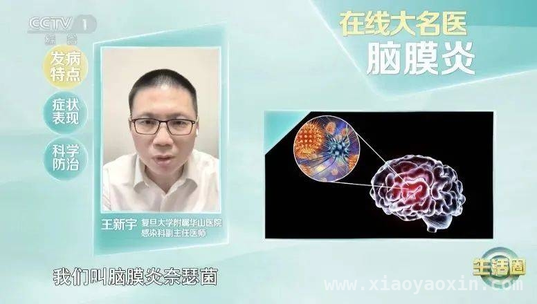 流脑凶险，早发现早治疗是关键，流脑来袭！别把它当小感冒