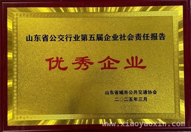 平度城市公交：2024年省公交竞赛中的璀璨之星