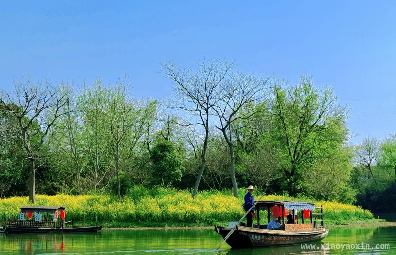春日杭州，邂逅一场绝美之旅，春日踏访杭州，感受岁月静好