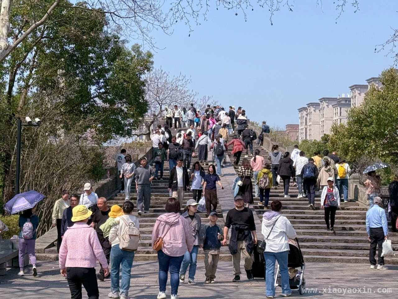 春日杭州，邂逅一场绝美之旅，春日踏访杭州，感受岁月静好