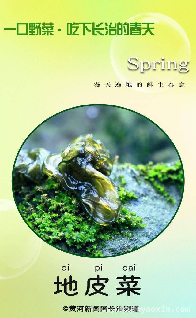 跟随DeepSeek，品味长治美食里的“春天味道” DeepSeek揭秘长治春天特色美食的独特魅力