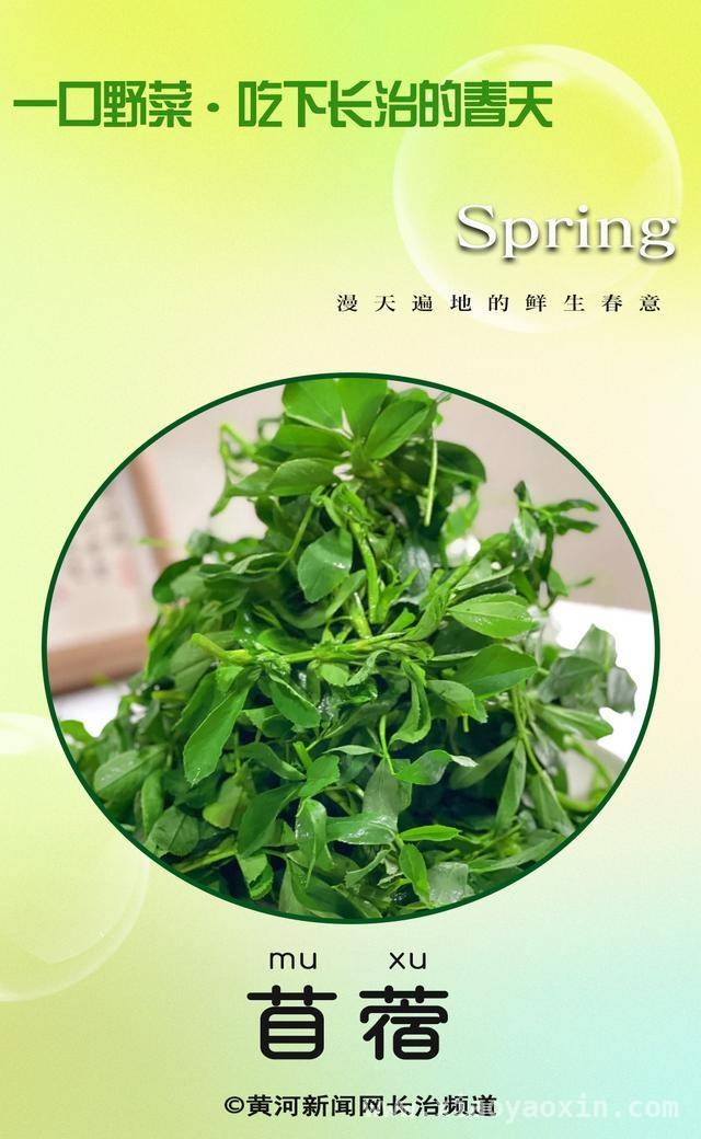 跟随DeepSeek，品味长治美食里的“春天味道” DeepSeek揭秘长治春天特色美食的独特魅力