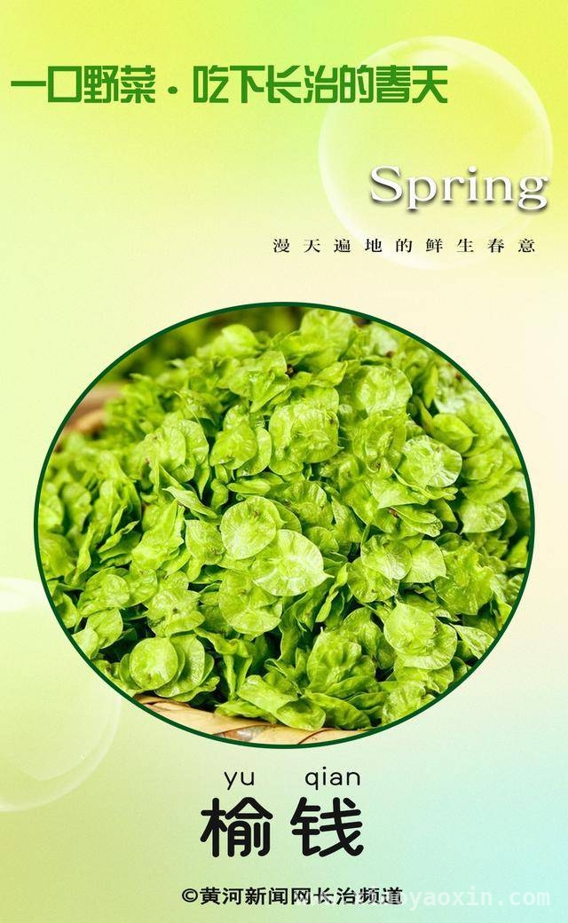 跟随DeepSeek，品味长治美食里的“春天味道” DeepSeek揭秘长治春天特色美食的独特魅力