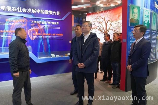 市科委主任调研上缆所，共绘线缆科技新蓝图，市科委与上缆所深度交流，线缆行业迈向新高度