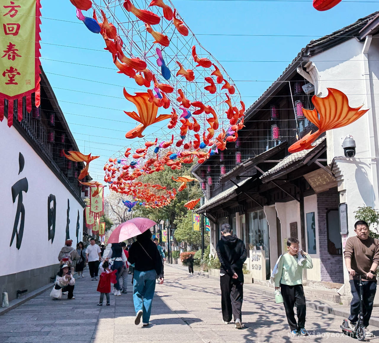春日杭州：美景与历史的交融盛宴，春日踏访杭州，感受岁月静好
