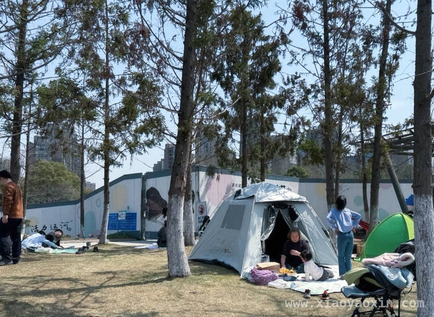 春日杭州：美景与历史的交融盛宴，春日踏访杭州，感受岁月静好