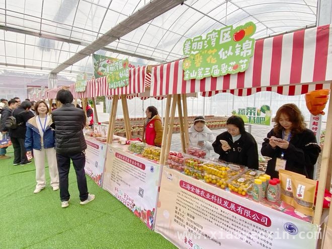 小番茄大精彩！2025金山番茄节亮点纷呈