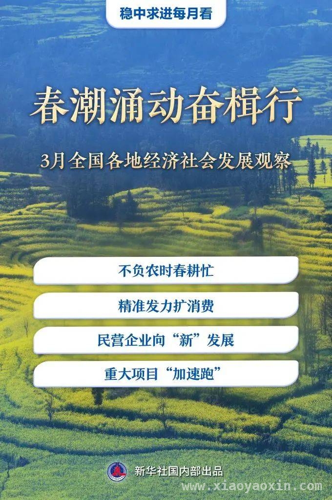 3月观察：经济社会发展各领域蓬勃向上 3月经济画卷：各地在春天里书写发展新章