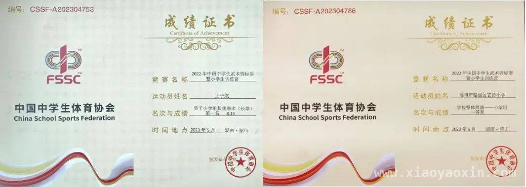 齐国故都小学：武术为翼，开启体教融合新征程，玄龄小学：武术传承，铸就五育并举育人典范