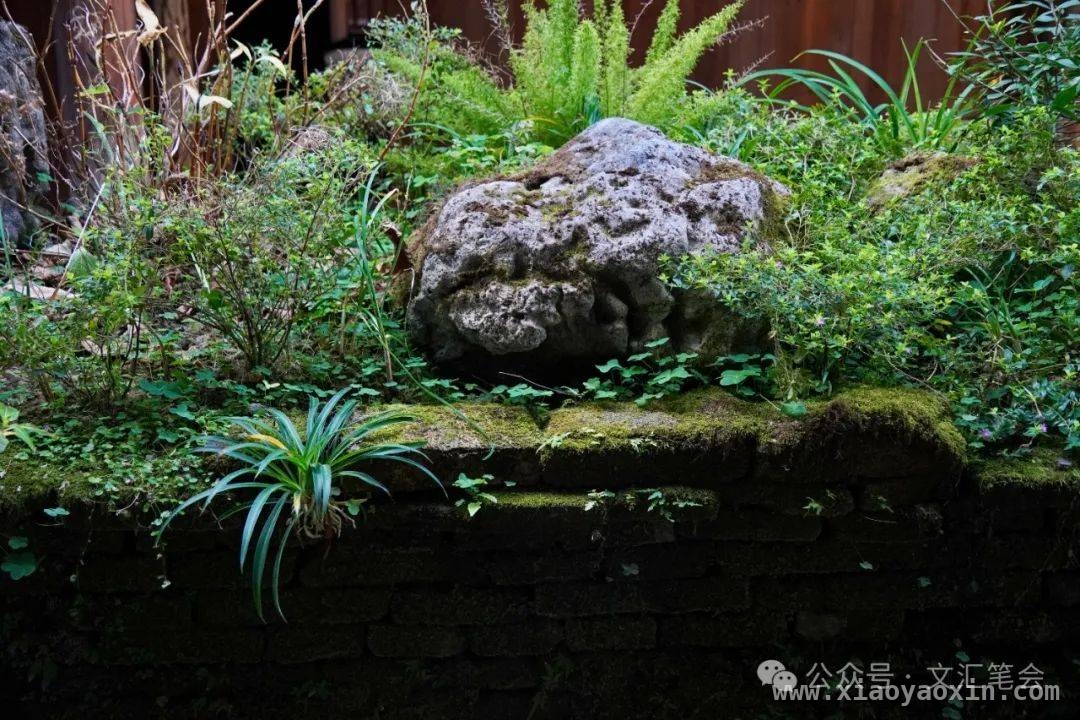 探秘全国最大单体古民居宏琳厝，感受黄家传奇与老黄的养花情怀