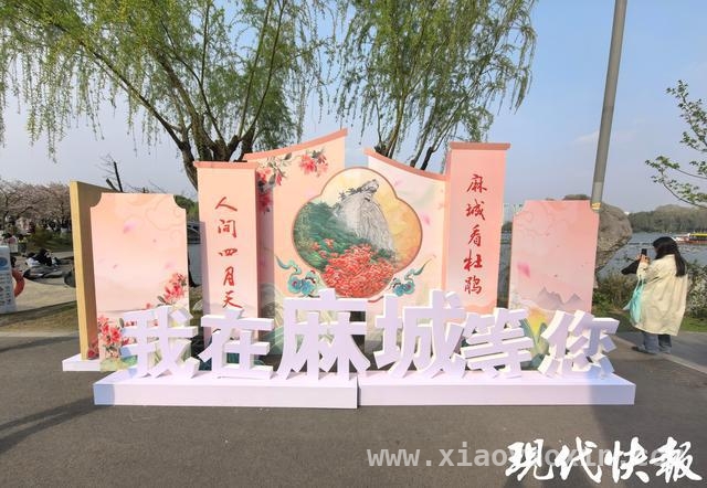 南京与麻城文旅联动，两小时高铁畅玩春日花漾之城