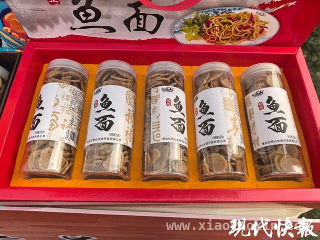 南京与麻城文旅联动，两小时高铁畅玩春日花漾之城